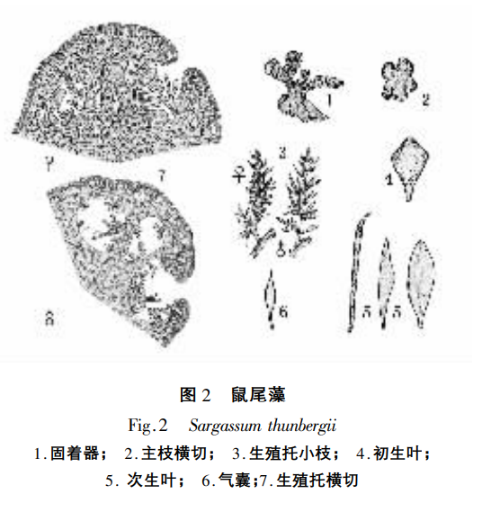 647e7cf978196.png