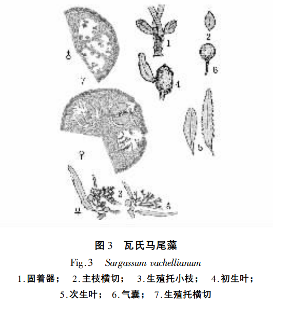 647e7d436ae81.png